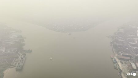 Indonesia closes 9 national parks temporarily following forest fires; prioritises firefighting in 6 provinces