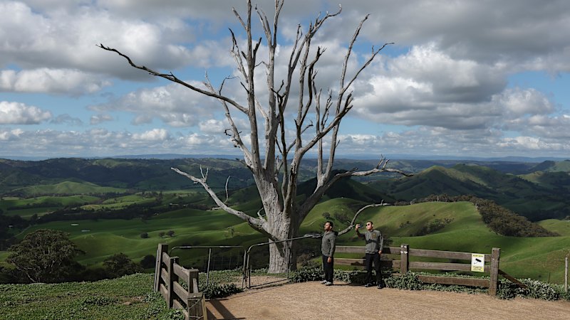 Hang’s Tree visitors cause chaos for residents in regional Victoria