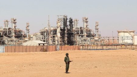 Germany eyes Algerian gas to diversify supply, foreign minister says