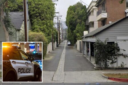 Beverly Hills horror as man stabbed to death on ritzy block