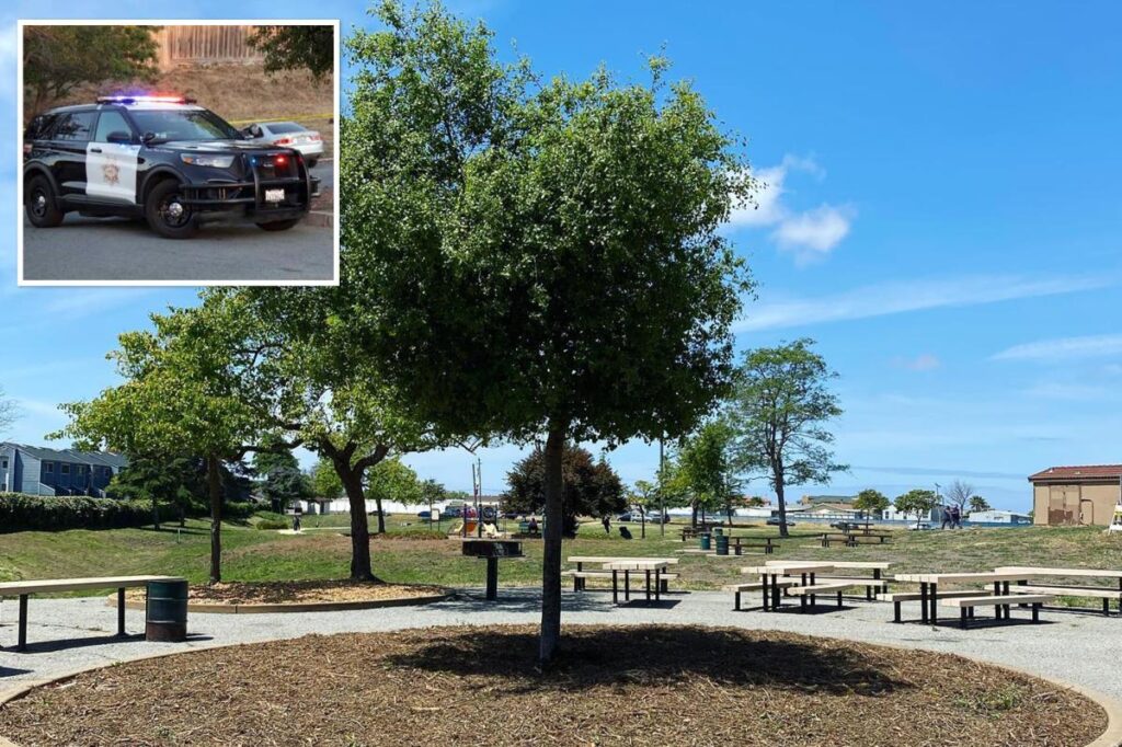 Mass stabbing sparks horror at California park as multiple people rushed to hospital, one critical