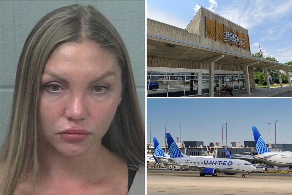 Drunk Russian passenger on way to NY bit flight attendant who wouldn’t serve more booze: affidavit