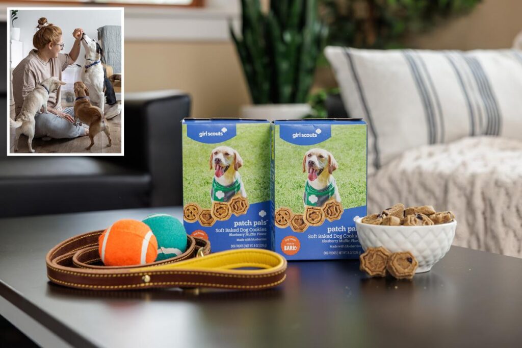 ER vet shares tip for pet owners about dog-friendly Girl Scouts cookies