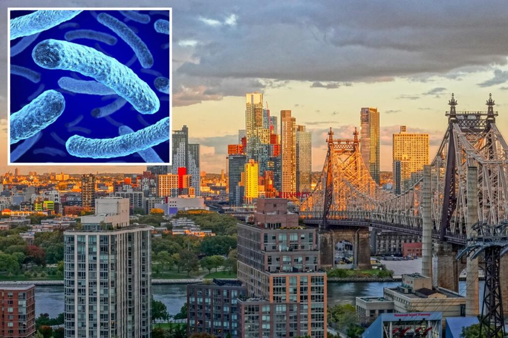 Legionnaires’ disease rips through South Bronx, killing 1 and sickening 5 others in latest outbreak to grip NYC