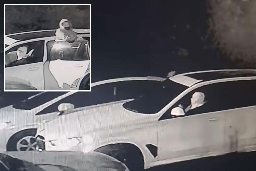 Moment masked youths rip precious metals from man’s car in under four minutes in California