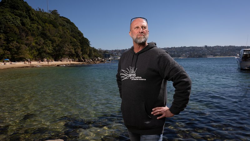 Endangered species and heritage sites threaten federal government’s plan for Sydney waterfront land