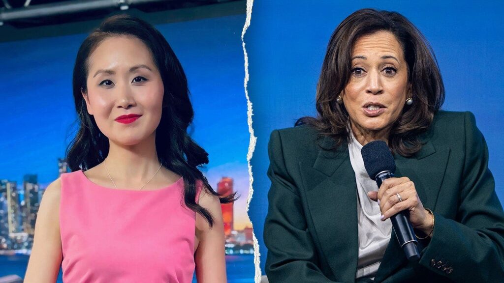 Ex-Dem insider exposes what Harris told top donors days before Biden dropped out: ‘Insulting’