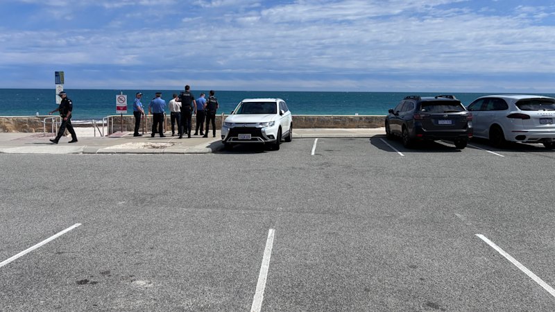 Shark that killed 63-year-old Perth swimmer to be destroyed