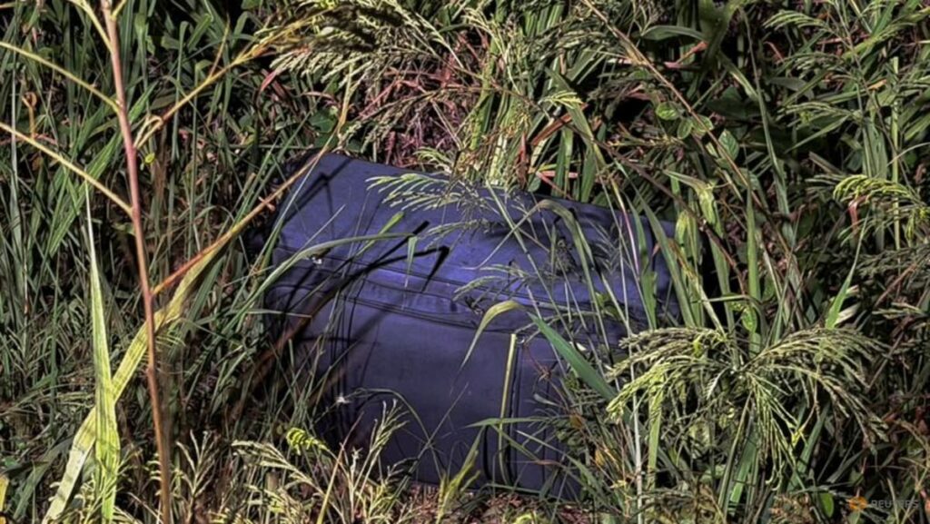 Australian man pleads not guilty to Thai suitcase murder