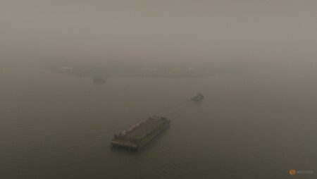 Indonesia steps up wildfire management efforts amid haze in Singapore and Malaysia