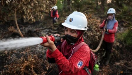Indonesia’s disaster mitigation masterplan hinges on enforcement, community preparedness
