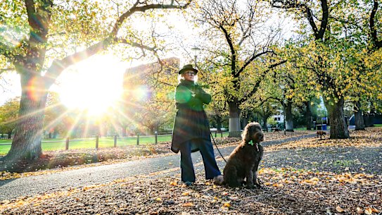 Elisabeth Vodicka and her labradoodle Rock Hudson at Yarra Park. Vodicka is concerned about the master plan for the park which surrounds the MCG.