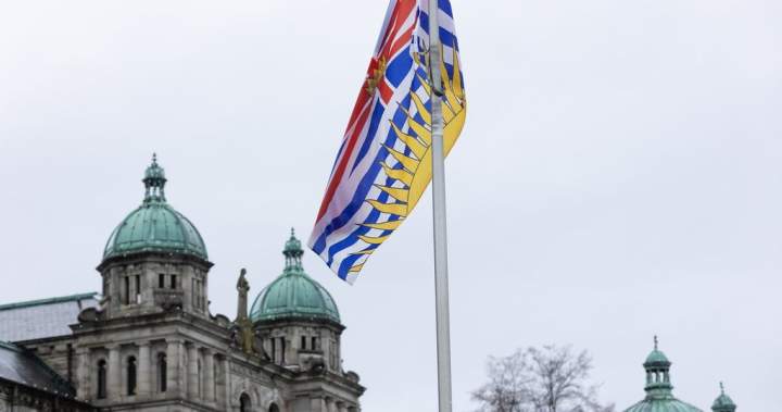 New B.C. Conservative leader Doerkson to appear with caucus amid election speculation