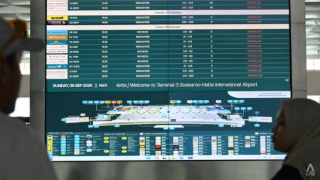 SIA to add 8 relief flights between Singapore and Jakarta for customers affected by Mount Anak Krakatau eruption