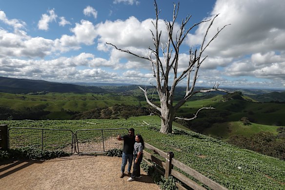 Visitors at the lookout near Strath Creek on Wednesday.