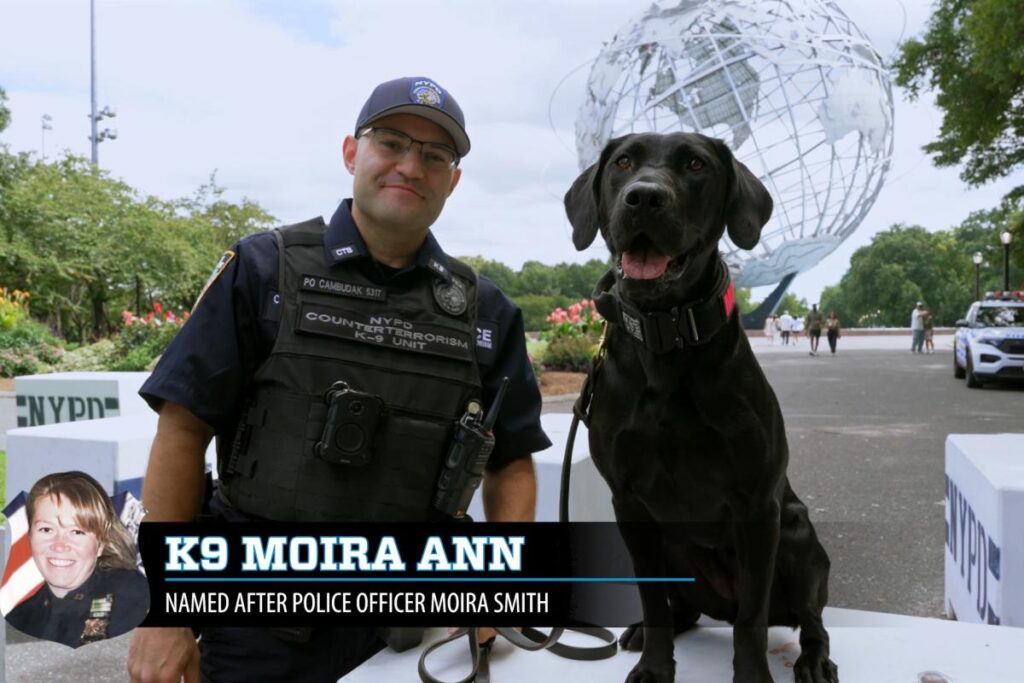Exclusive | NYPD names K-9s after fallen 9/11 heroes — read the stories behind each of NY’s Finest