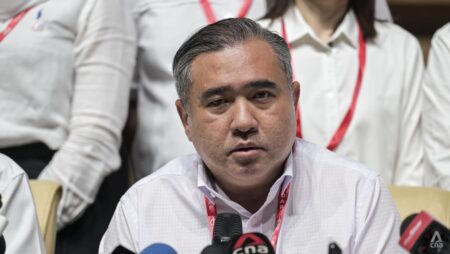 Anthony Loke says will remain as Malaysia’s transport minister until Najib begins house arrest