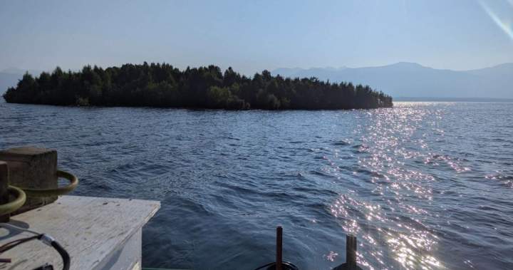 An island is floating around a B.C. reservoir — and it keeps disappearing