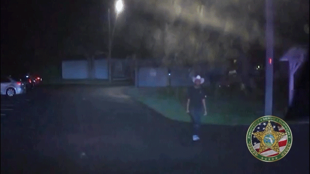 Florida deputies taser sword-wielding burglary suspect, video shows