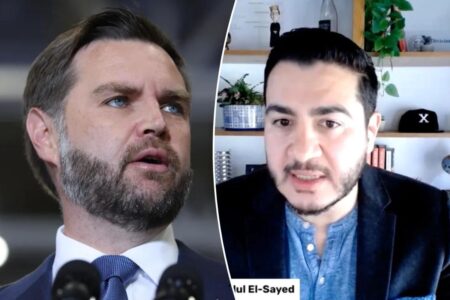 Abdul El-Sayed claims JD Vance’s beard is fake after VP mocks ‘patchy’ Dem: ‘I’m all natural, bro’