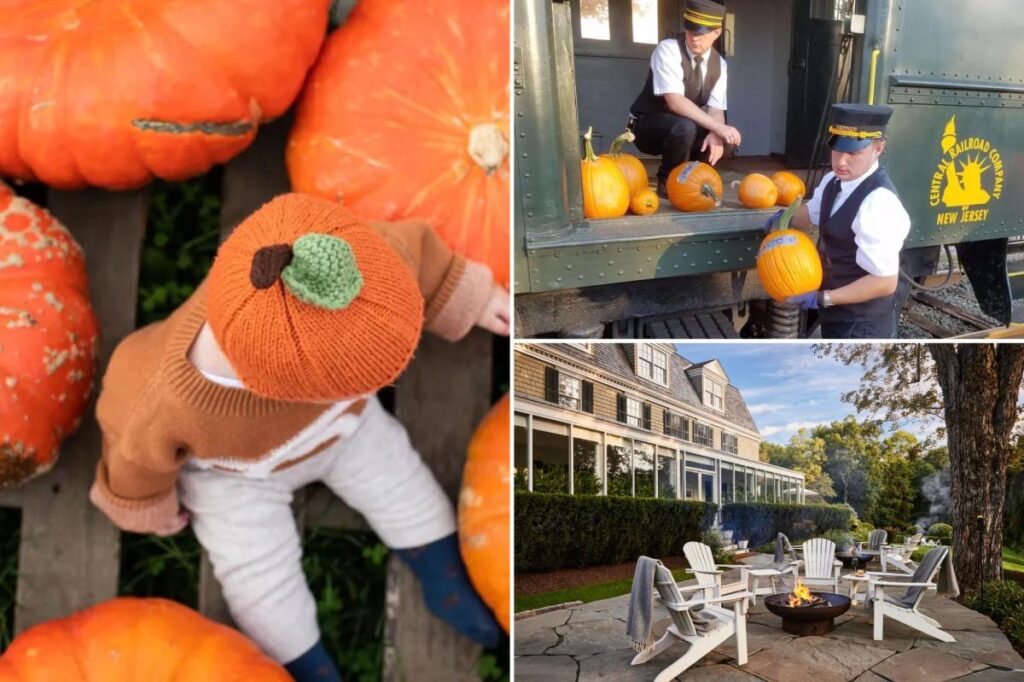 Country charms: You can’t beat a day out on the farm