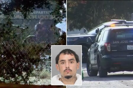 Serial killer fears as California man flags down cops and takes them to multiple bodies