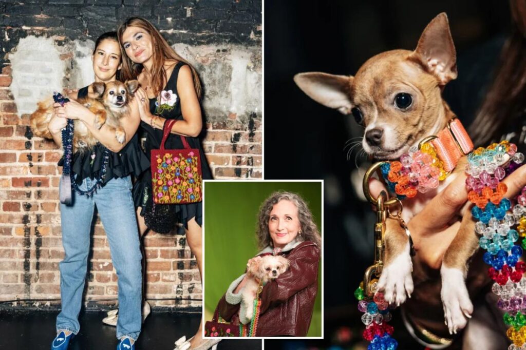 Is this fur real? Adorable rescue pups had their own runway show at New York Fashion Week