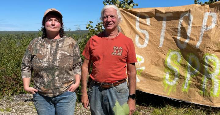 Bear River, N.S. residents raise concerns over planned aerial glyphosate spraying